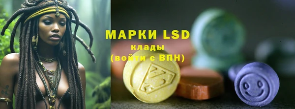 гашик Алзамай