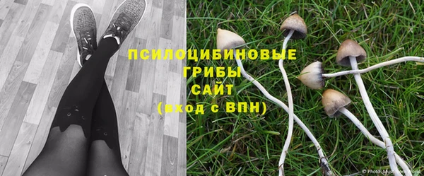 метадон Алексин