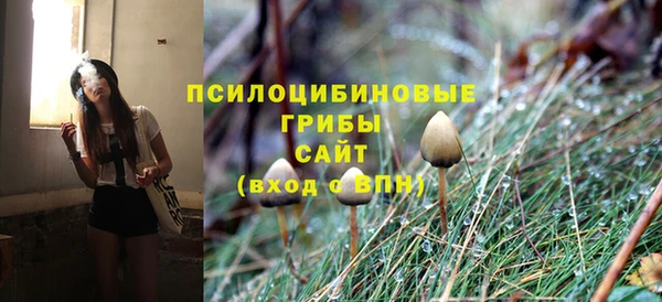 гашик Алзамай