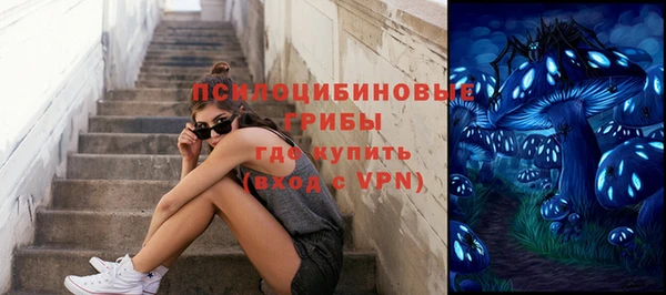 амф Алексеевка
